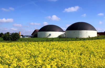 promote electricity produced from biogas in France