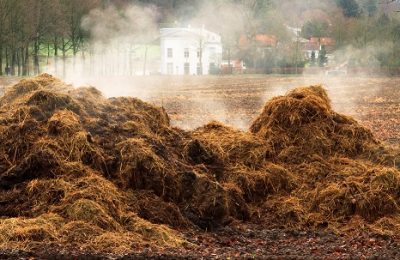 Official Value of Digestate