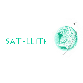 SATELLITE Consulting