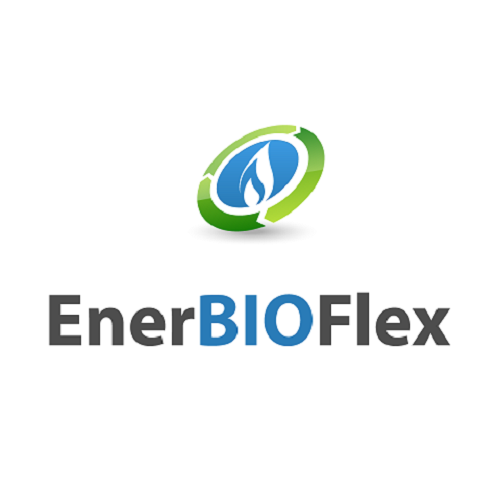 EnerBioFlex Logo