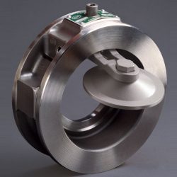 Bray Controls Check Valve Bray-Rite Main Check Valve Bray-Rite by Bray Controls