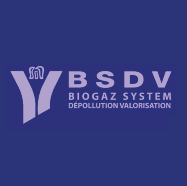 BSDV