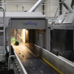 Optibag - Optical sorting system