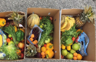 The Fight Against Climate Change in Ontario: Building The Circular Economy