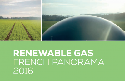 Renewable Gas French Panorama 2016