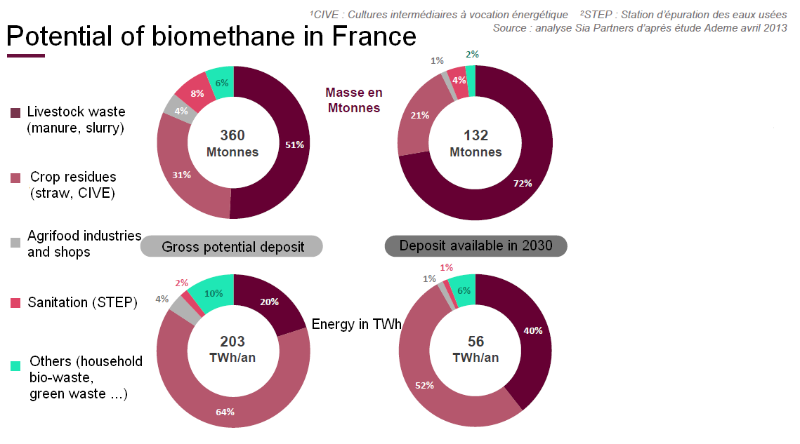 Biogas and biomethane market in France - Potential