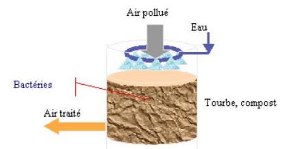 biofiltre: réduire les odeurs du biogaz pour obtenir l'acceptabilité sociale d'un projet de biogaz