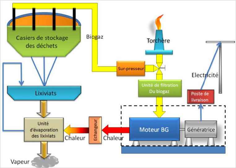 Le biogaz pour se chauffer: Fonctionnement d'une unité de cogénération