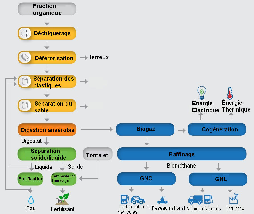 IES Biogas- Usines de transformation de déchets en biogaz- Procédé par voie humide