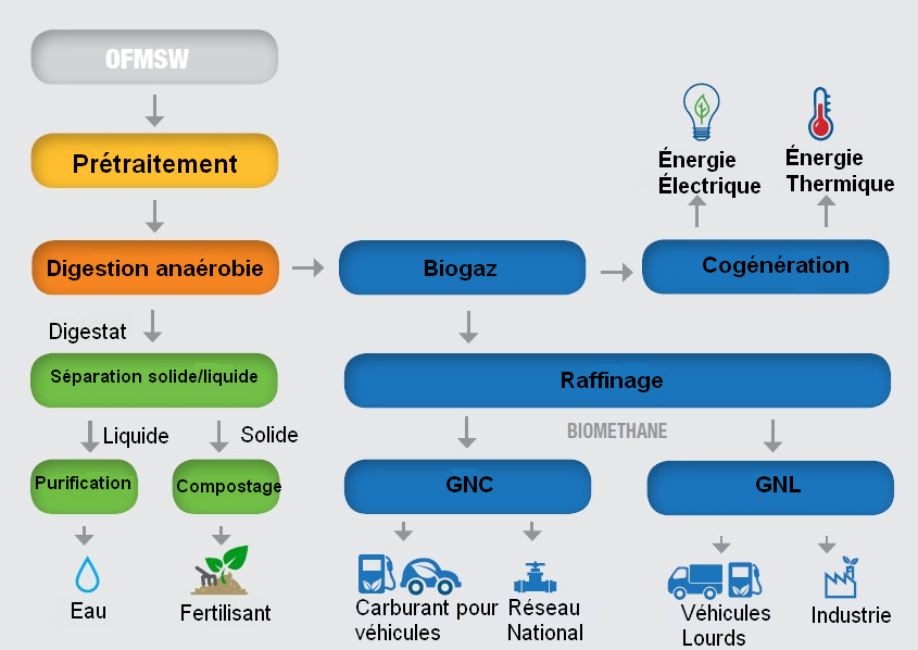 IES Biogas - Usines de transformation de déchets en biogaz - Prétraitement: Fraction organique des déchets solides municipaux