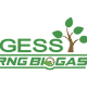 GESS RNG Biogas LLC